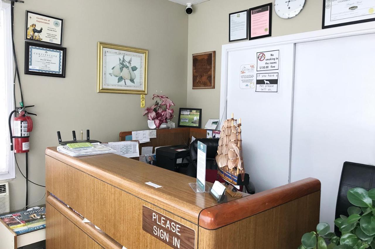 Bayside Motel 特伦顿 外观 照片